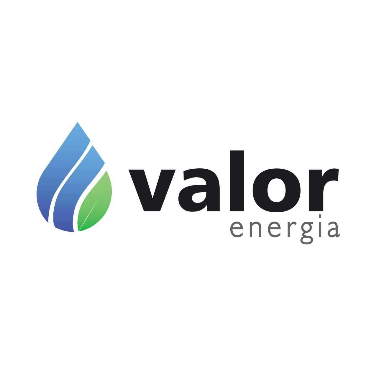Valor Energia
